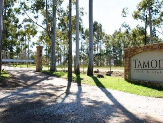 Tamodi Lodge Plettenberg Bay Bagian luar foto